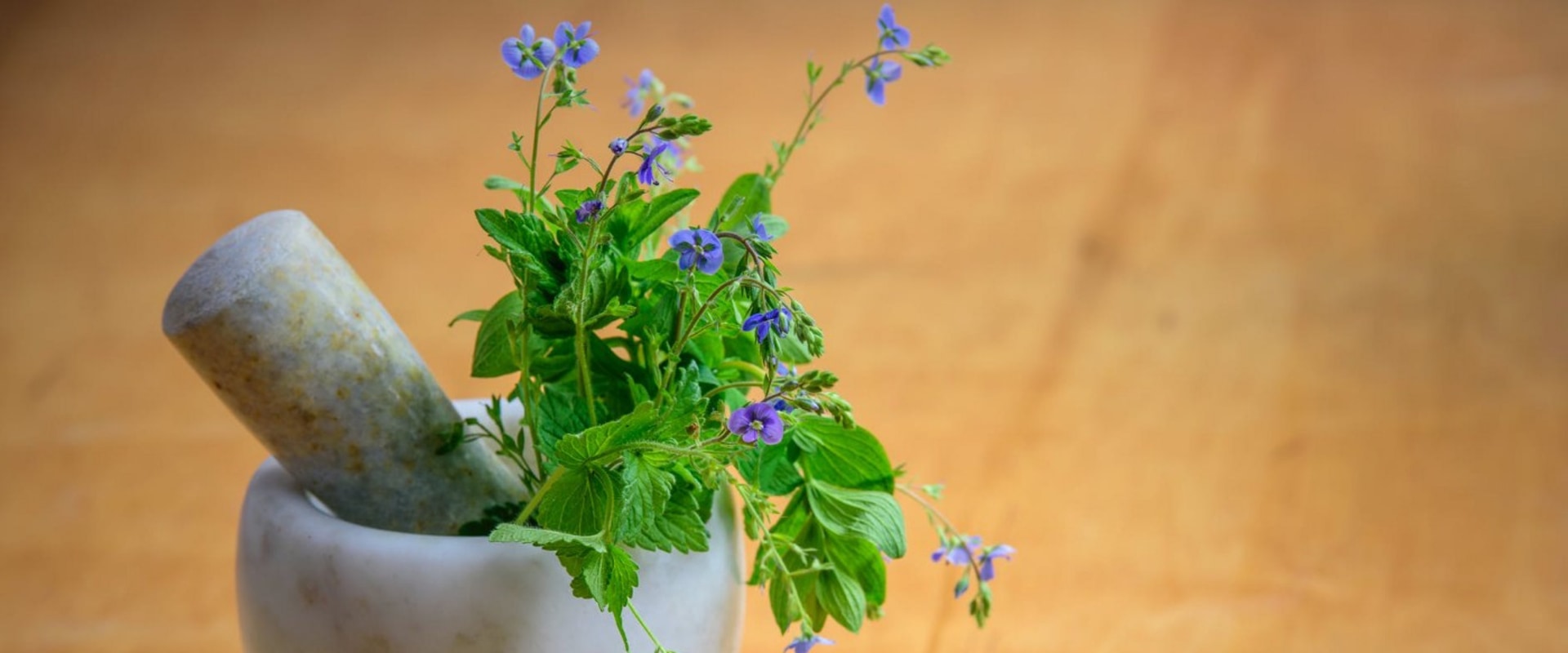 20-medicinal-plants-and-their-remarkable-health-benefits