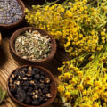 What is herbal medicine 10?