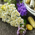 Common Herbal Medicines: A Comprehensive Guide