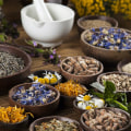 What is Traditional Medicine All About?