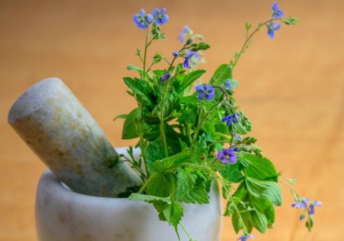 20 Medicinal Plants and Their Remarkable Health Benefits