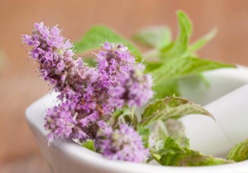 What is an example of a herbal medicine?